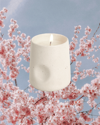 Sakura in Bloom: Japanese Cherry Blossom Scented Candle